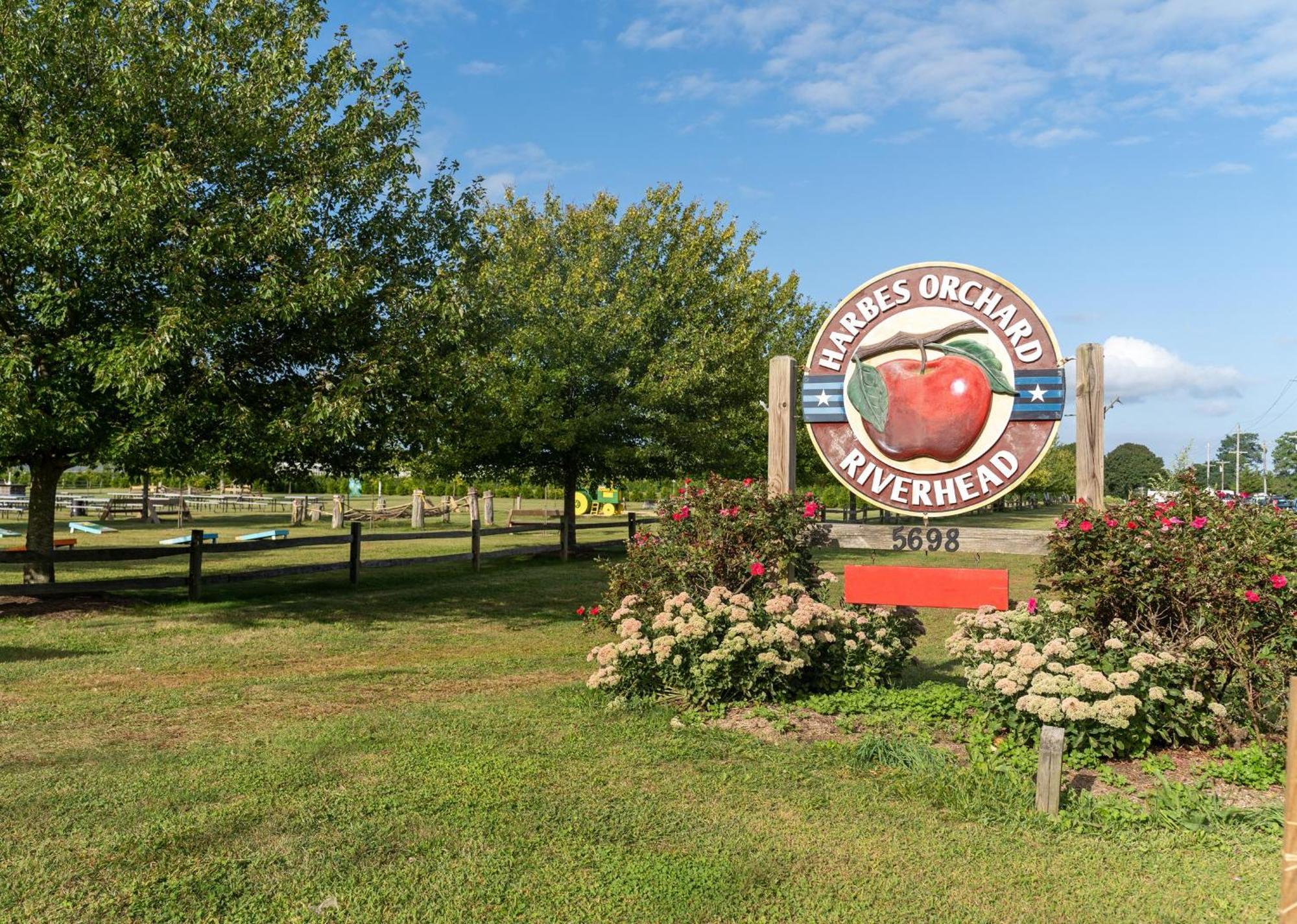 הוילה Mattituck Large Modern North Fork Barn:Vineyards In Backyard, Harbes Farms מראה חיצוני תמונה